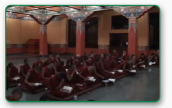 Тибет. Монахи буддисты. Монастырь Kagyu Thekchen Ling.